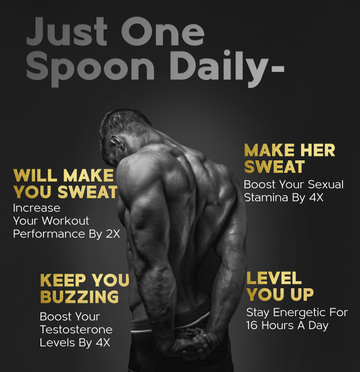 Himalayan Shudh Shilajeet | 4X Stamina Boost in 4 Weeks